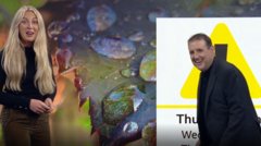 Moment Peter Kay gatecrashes North West Tonight weather moment-peter-kay-gatecrashes-north-west-tonight-weather