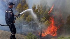 At least 12 dead as wildfires sweep through northern Algeria at-least-12-dead-as-wildfires-sweep-through-northern-algeria