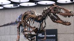 Nanotyrannus: Dinosaur skeleton sells for $47.3m in New York auction nanotyrannus:-dinosaur-skeleton-sells-for-$47.3m-in-new-york-auction